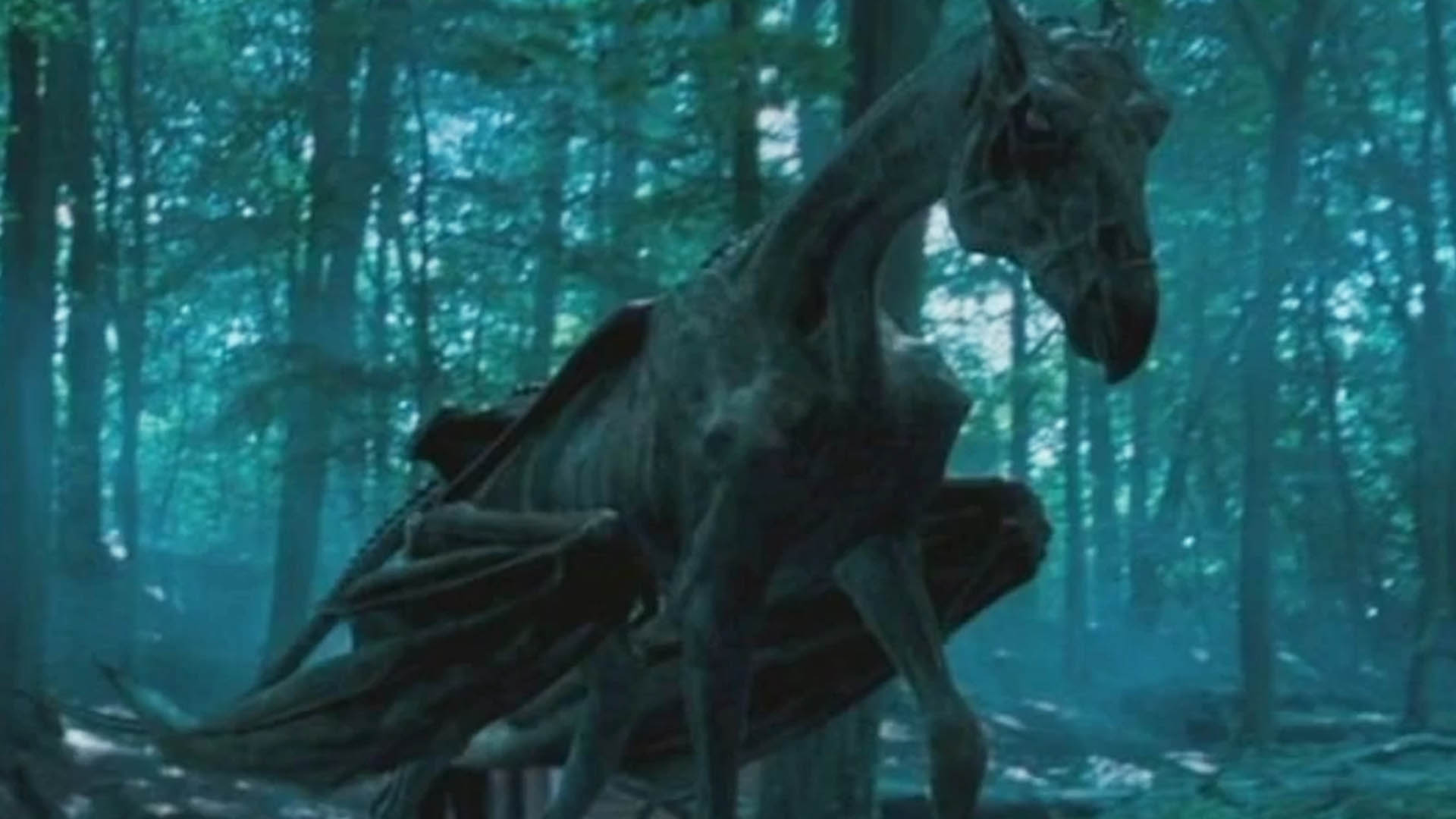 Hogwarts Legacy Thestral als Reittier? Fliegendes Pferd freischalten Lösung